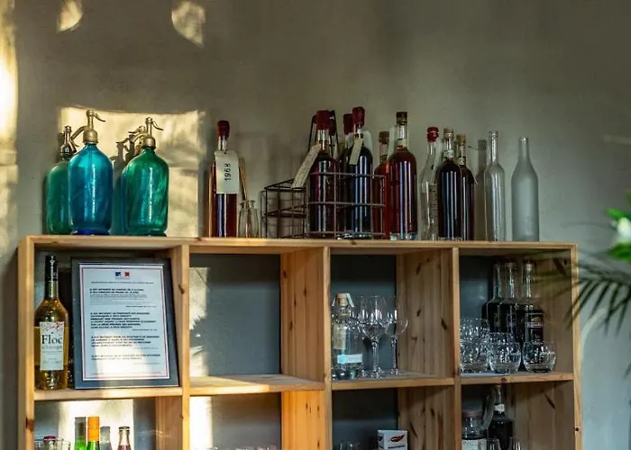 Le Castel Pierre - 7ch&7sdb Avec Clim, Piscine Xl, Ping-pong, Salle Fitness Et Sauna Pour 15 Personnes 4*