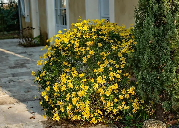Le Castel Pierre - 7ch&7sdb Avec Clim, Piscine Xl, Salle Fitness Et Sauna Pour 18 Personnes Lagraulet-du-Gers
