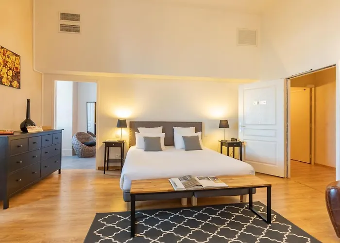 Hotel Le Castel Pierre - 7ch&7sdb Avec Clim, Piscine Xl, Ping-pong, Salle Fitness Et Sauna Pour 15 Personnes