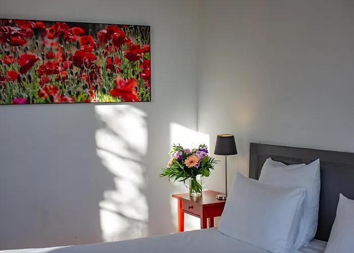 Le Castel Pierre - 7ch&7sdb Avec Clim, Piscine Xl, Ping-pong, Salle Fitness Et Sauna Pour 15 Personnes