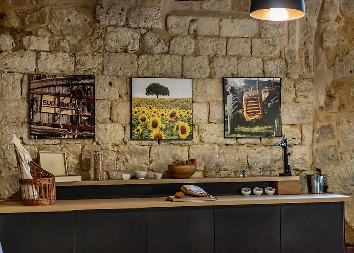 Hotel Le Castel Pierre - 7ch&7sdb Avec Clim, Piscine Xl, Ping-pong, Salle Fitness Et Sauna Pour 15 Personnes