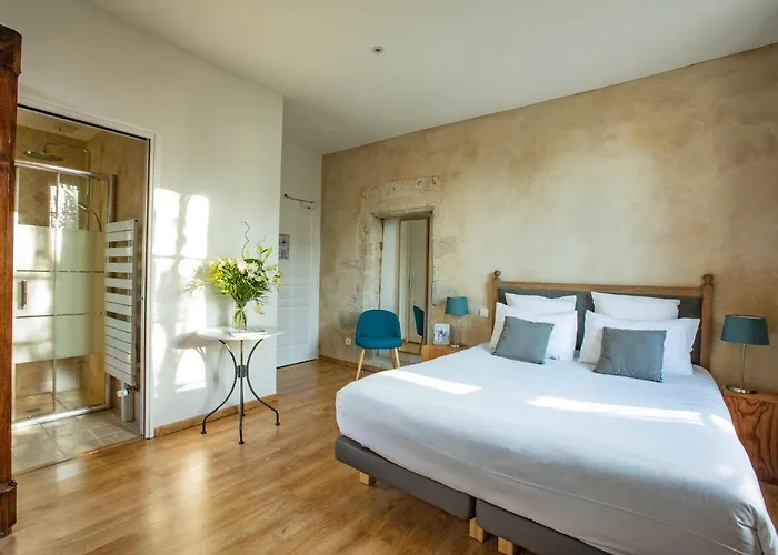 Hotel Le Castel Pierre - 7ch&7sdb Avec Clim, Piscine Xl, Ping-pong, Salle Fitness Et Sauna Pour 15 Personnes