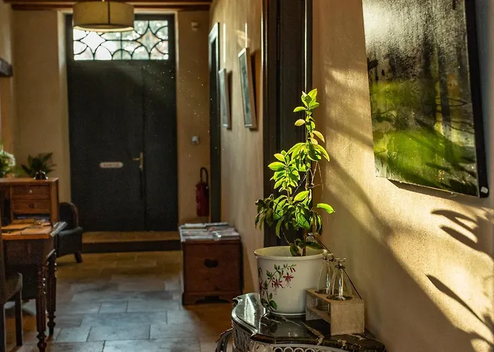 Le Castel Pierre - 7ch&7sdb Avec Clim, Piscine Xl, Ping-pong, Salle Fitness Et Sauna Pour 15 Personnes Lagraulet-du-Gers